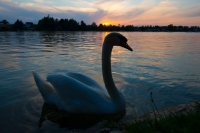 fireworkchallange004